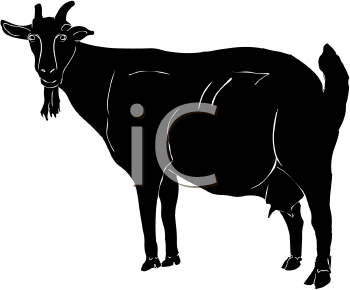 Goat Clipart