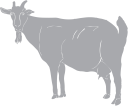 Goat Clipart