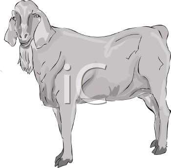 Goat Clipart