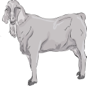 Goat Clipart