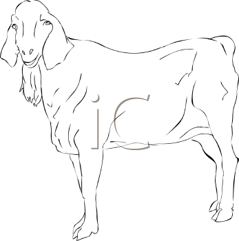 Goat Clipart