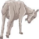 Goat Clipart