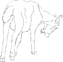 Goat Clipart