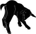 Goat Clipart