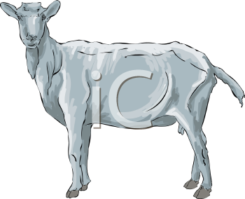 Goat Clipart