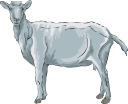 Goat Clipart