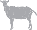 Goat Clipart