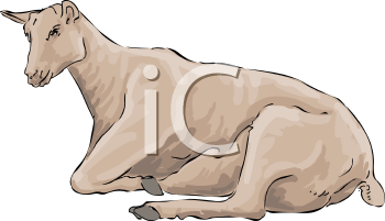 Goat Clipart