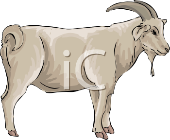 Goat Clipart