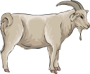 Goat Clipart