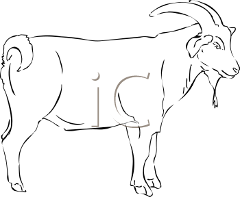 Goat Clipart