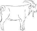 Goat Clipart