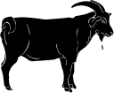 Goat Clipart