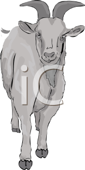 Goat Clipart