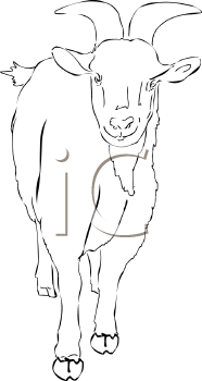 Goat Clipart