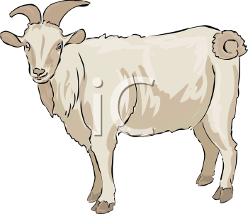 Goat Clipart