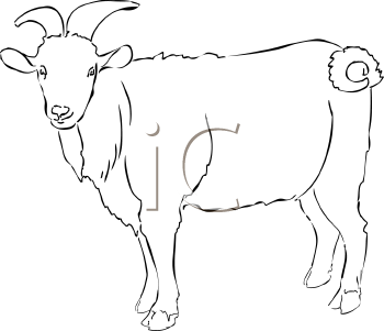 Goat Clipart