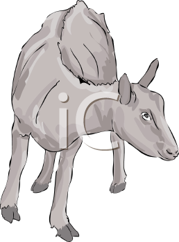 Goat Clipart