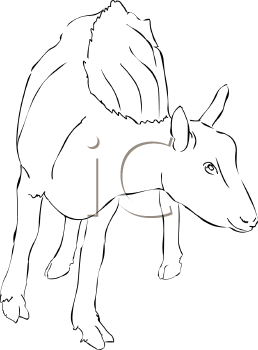 Goat Clipart