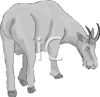 Goat Clipart