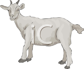 Goat Clipart