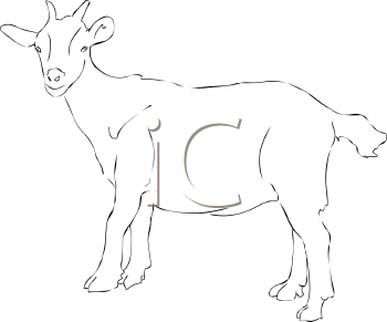 Goat Clipart