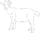 Goat Clipart