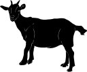 Goat Clipart