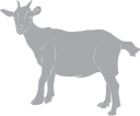 Goat Clipart