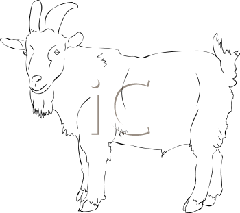 Goat Clipart