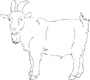 Goat Clipart