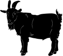 Goat Clipart