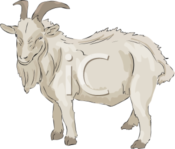 Goat Clipart