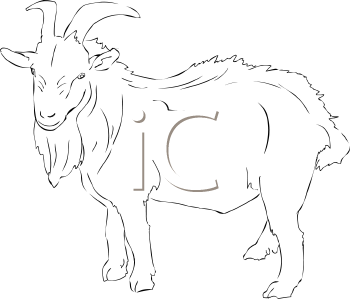 Goat Clipart