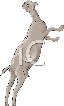 Goat Clipart