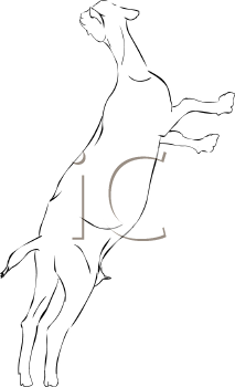 Goat Clipart