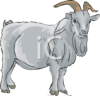 Goat Clipart