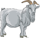 Goat Clipart