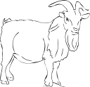 Goat Clipart