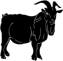 Goat Clipart