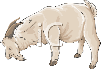 Goat Clipart