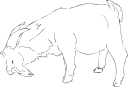 Goat Clipart