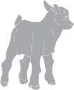 Goat Clipart