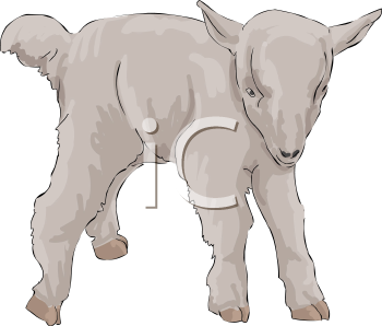 Goat Clipart