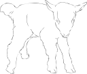 Goat Clipart