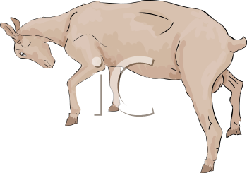 Goat Clipart