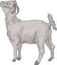 Goat Clipart