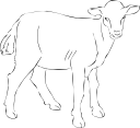 Goat Clipart