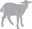 Goat Clipart