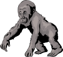 Gorilla Clipart